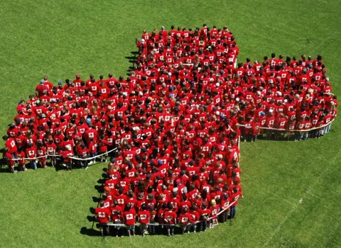 Rotes Kreuz aus Menschen auf grüner Wiese